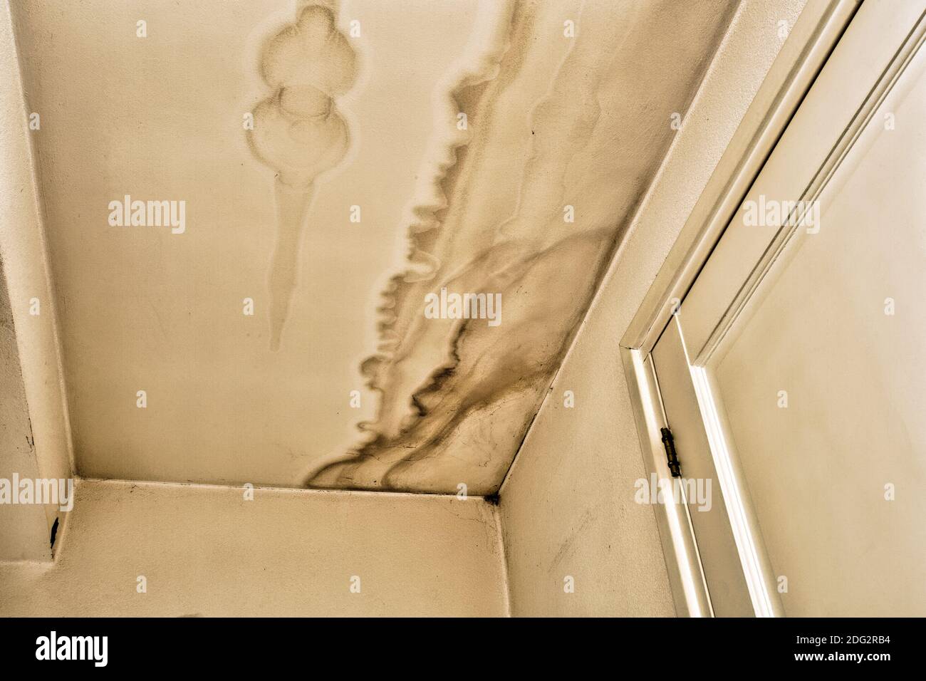Leckage des Dachs, Wassereindeckung des Deckendachs und Flecken an der Decke in Nahaufnahme Stockfoto