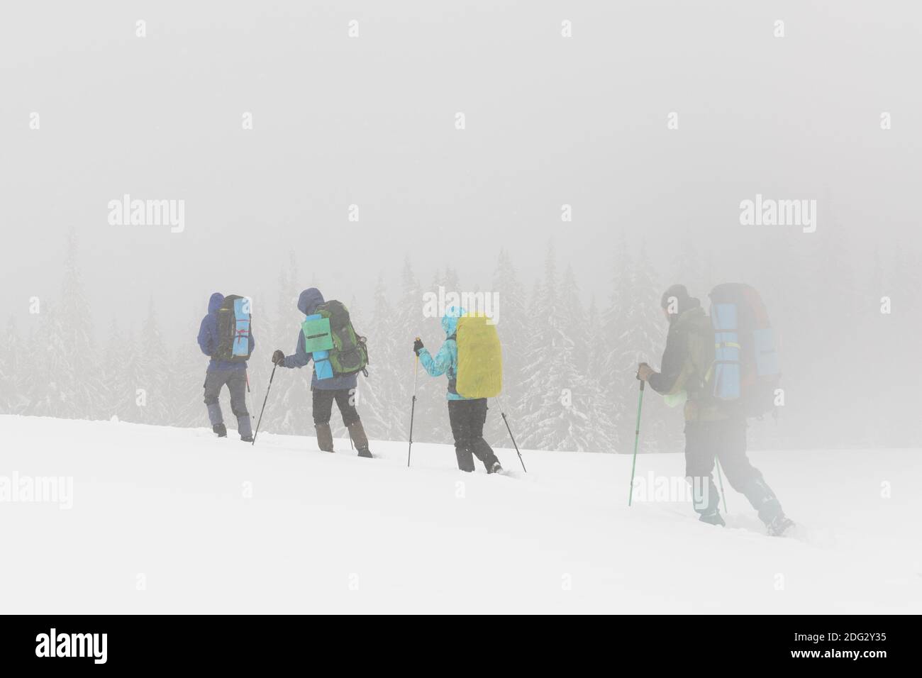 Touristen mit Rucksäcken wandern bei schlechtem Winterwetter in Tiefschnee Stockfoto