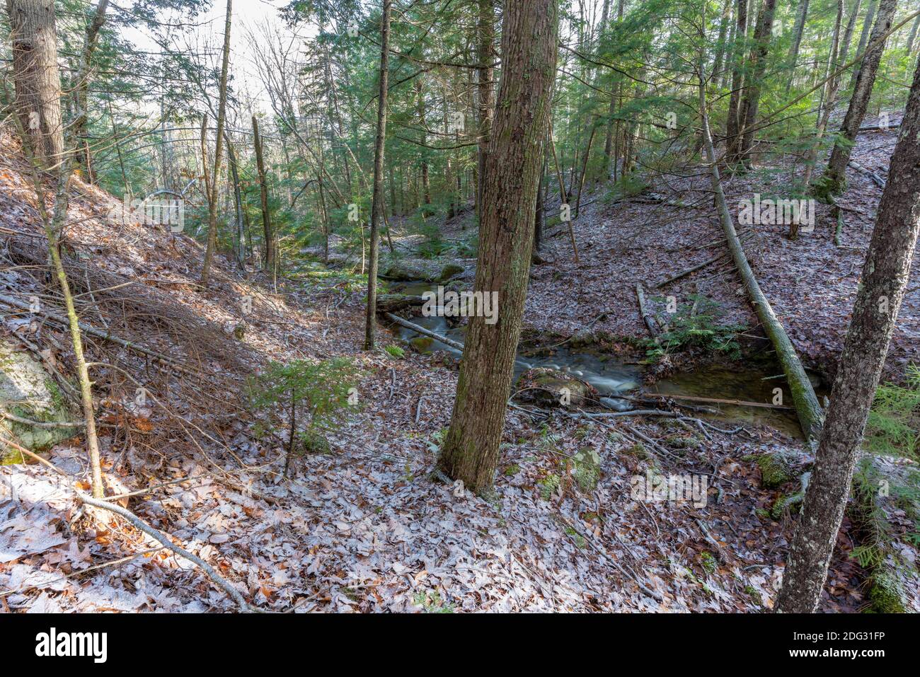 Friedlicher plätschernder Bach in den Hinterwäldern entlang der Midcoast von Maine kurz nach einem leichten Schneefall Anfang Dezember. Stockfoto