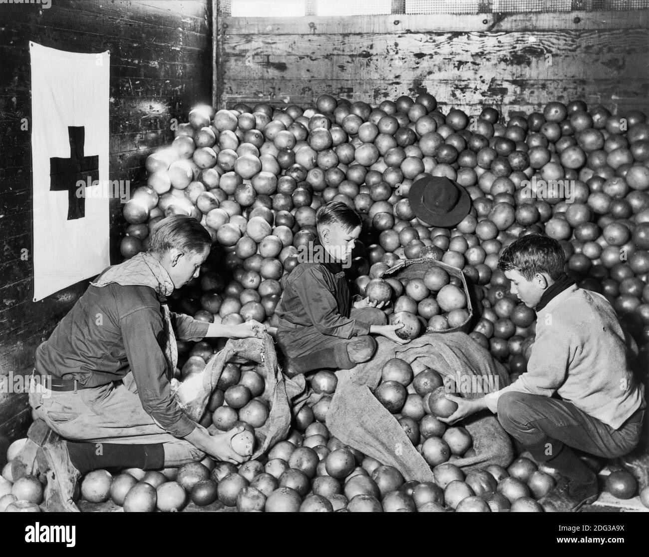 Junge Pfadfinder, die Früchte entladen, die von Obstbauern gespendet und vom Amerikanischen Roten Kreuz für Dürrekranke, Cleveland, Mississippi, USA, Lewis Wickes Hine, American National Red Cross Collection, 1930, geliefert wurden Stockfoto