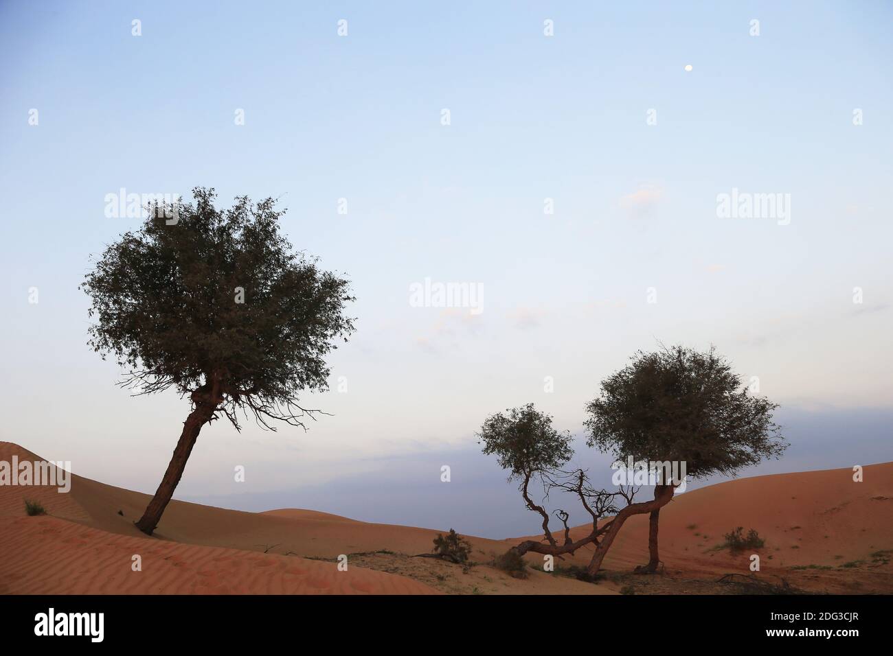 WÃ¼ste Rub al Chali (Rub al Khali) Stockfoto