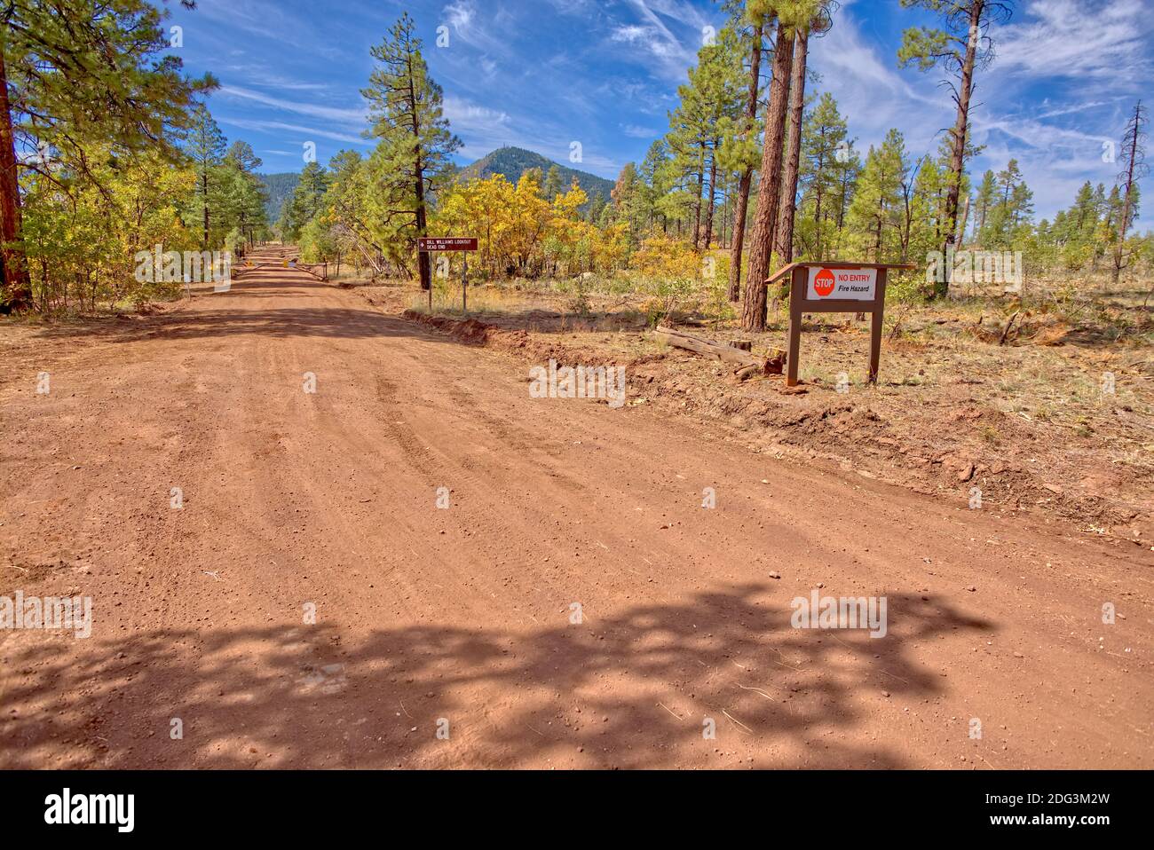 Die malerische Bill Williams Mountain Road im Norden Arizonas wurde vom National Forest Service wegen der hohen Waldbrandgefahr gesperrt. Stockfoto