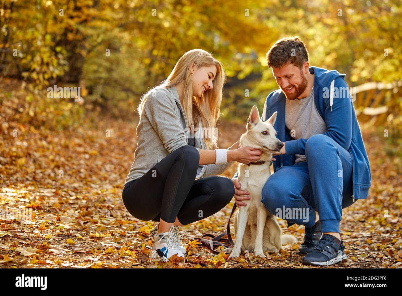 Paar genießen Sie Zeit mit Hund im Herbstwald, glücklich Mann und Frau sind Freunde mit netten Hund, im Herbst im Freien Stockfoto