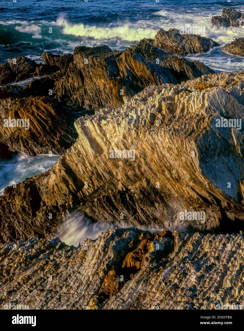 Monterey Schiefer, Montana de Oro State Park, San Luis Obispo County, Kalifornien Stockfoto