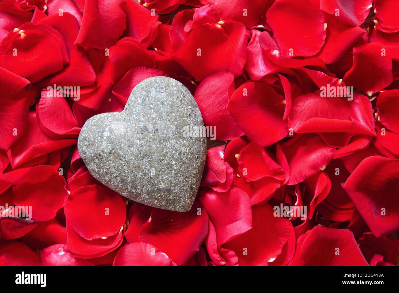 Herz aus Stein auf roten Rosenblättern Stockfoto