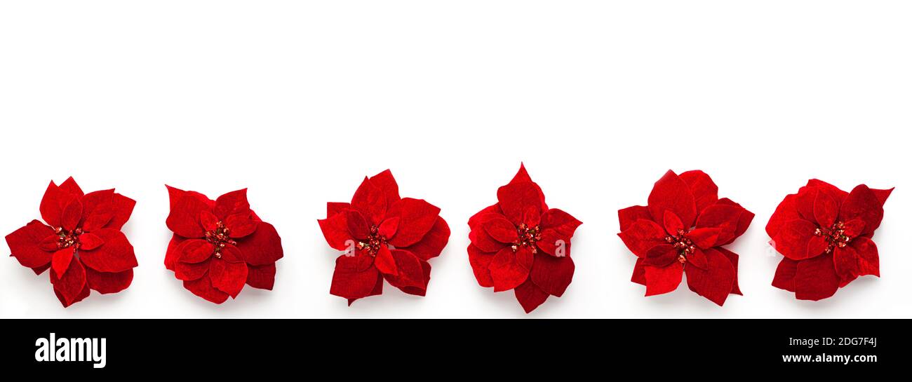 Künstliche rote Samt Weihnachtsblumen Weihnachtsbanner mit schönen Pailletten In der Mitte dreht sich um seine Achse isoliert auf weiß Hintergrund f Stockfoto