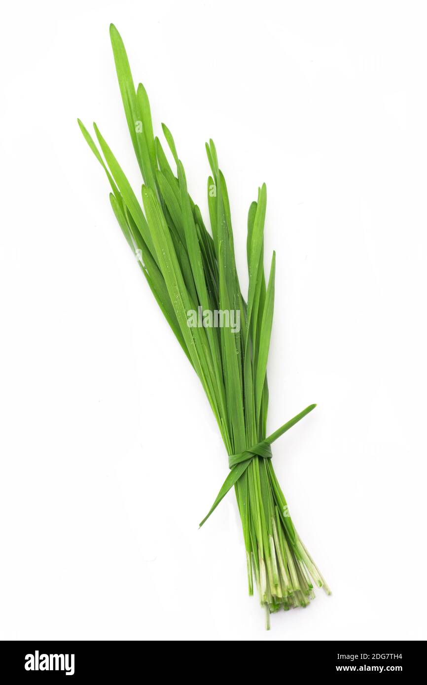 Ein Bündel von grünem Weizengras und ein Schuss frischer Weizengrassaft isoliert auf weißem Hintergrund. Stockfoto