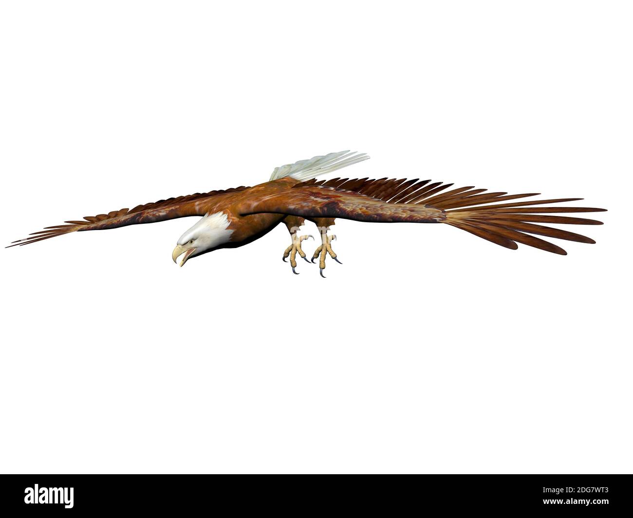 Eagle Landing - 3d-Rendering Stockfoto