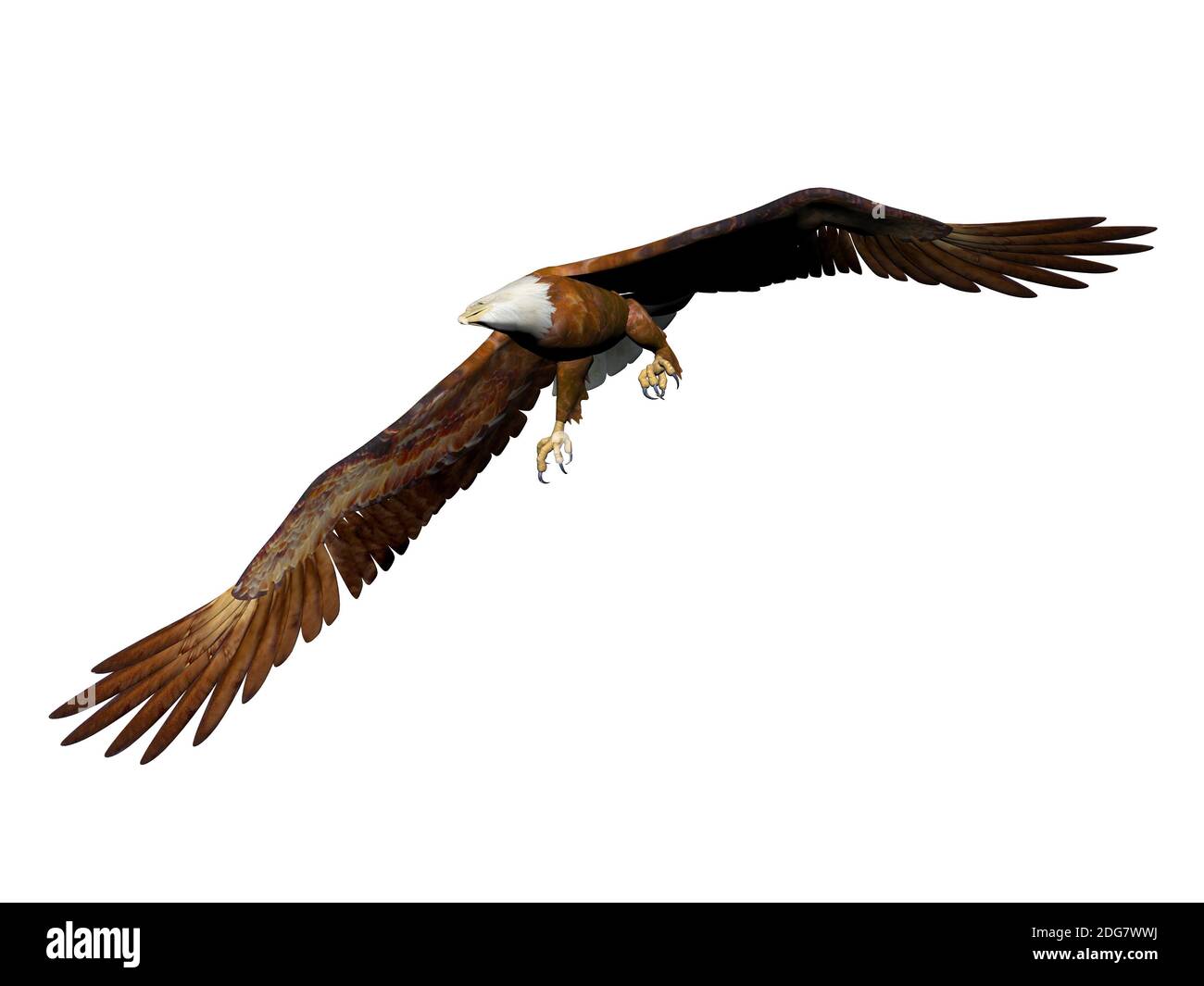 Eagle Landing - 3d-Rendering Stockfoto