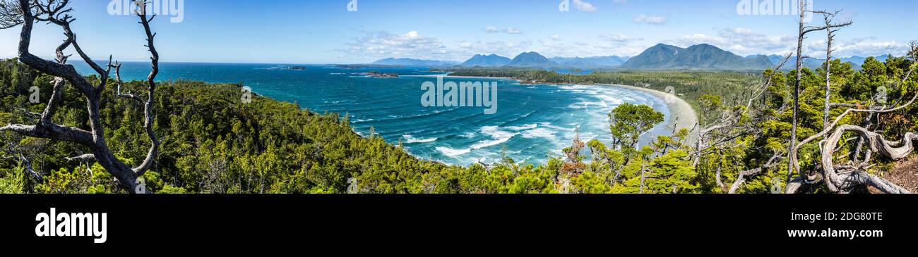 Blick auf Cox Bay Beach von Cox Bay Bluff, Tofino, BC, Kanada. Stockfoto