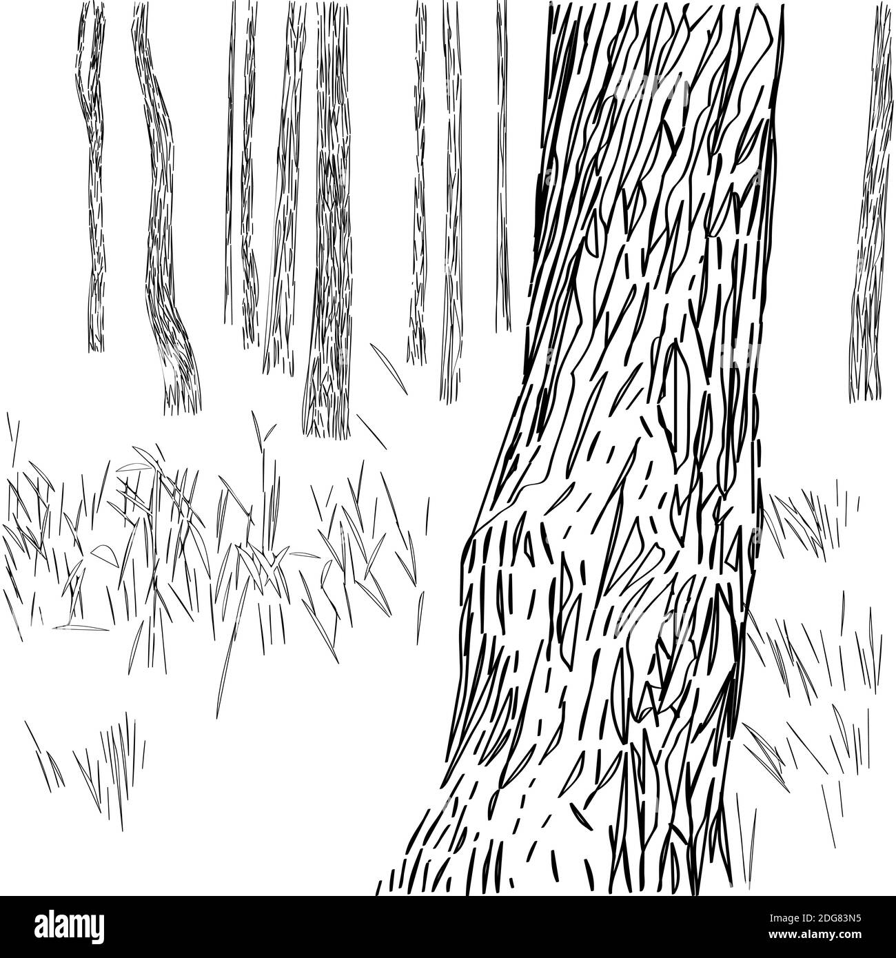 Komposition der Waldgrafik Stockfoto