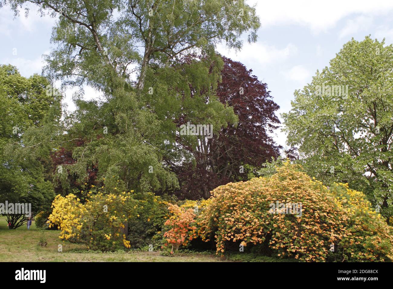 Ohrbergpark, Emmerthal, Weserbergland Stockfoto