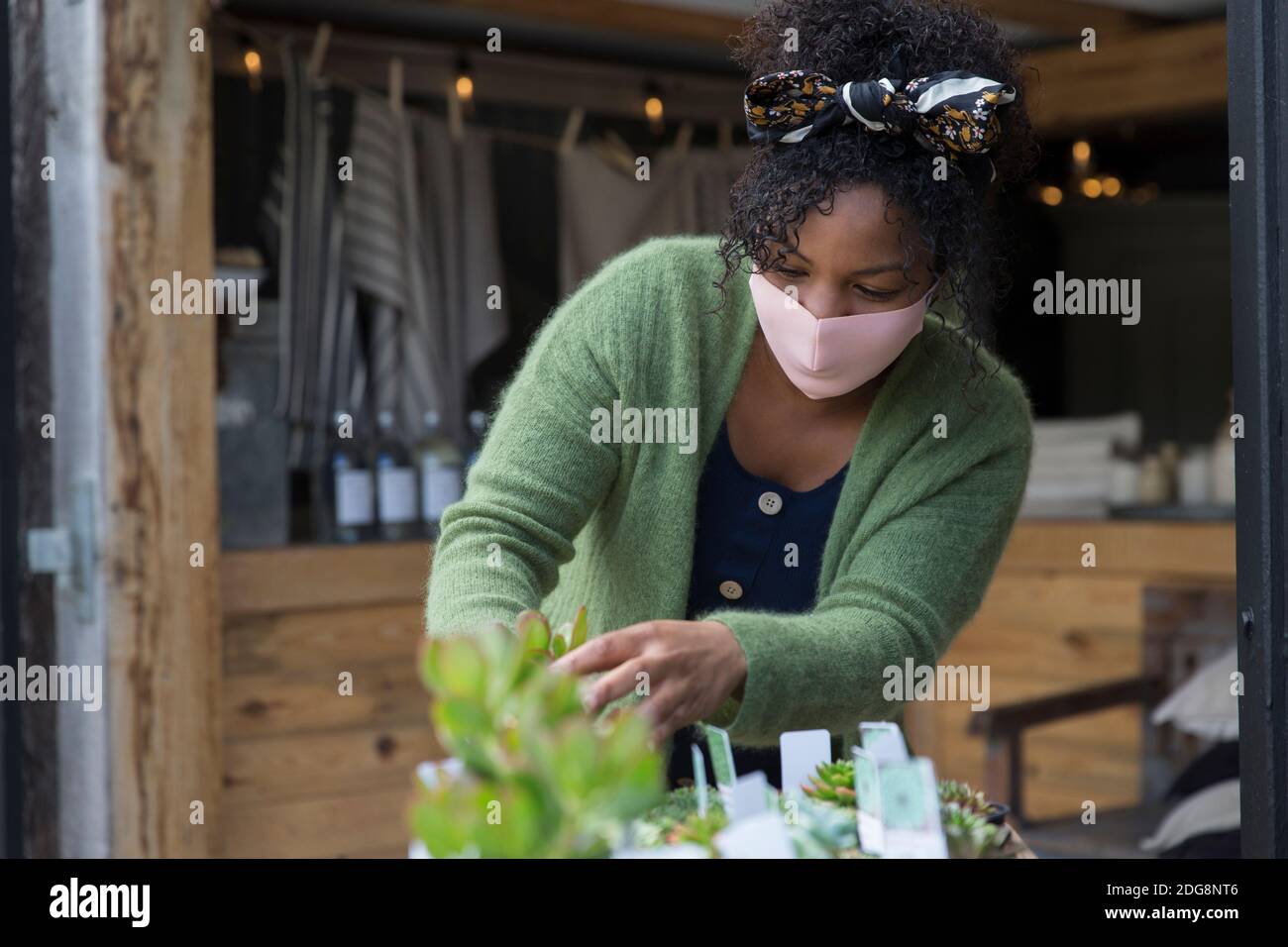 Weibliche Ladenbesitzerin in Gesichtsmaske, die zu saftigen Pflanzen tendiert Stockfoto