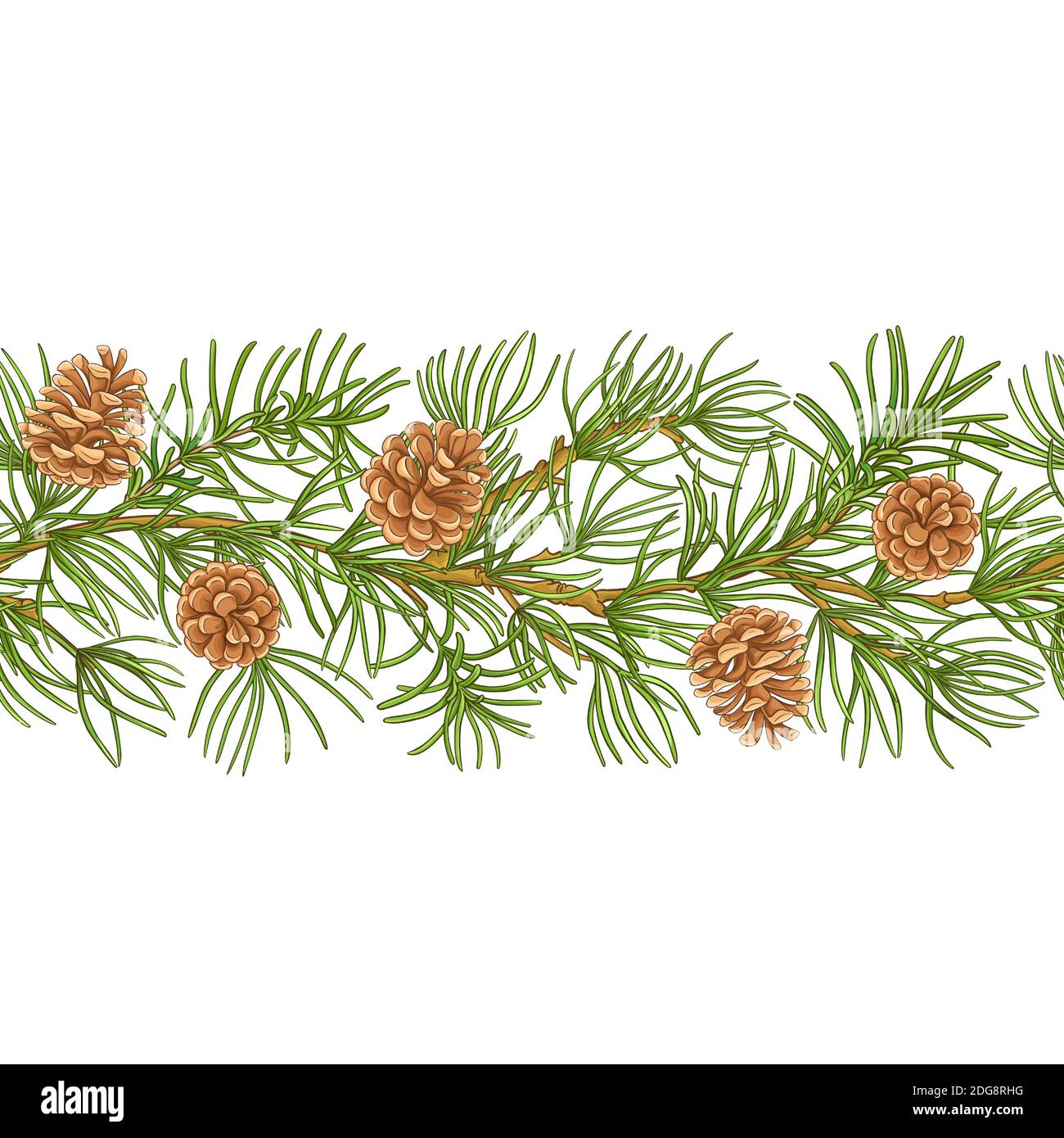 Vektor mit Kiefernmuster Stock Vektor