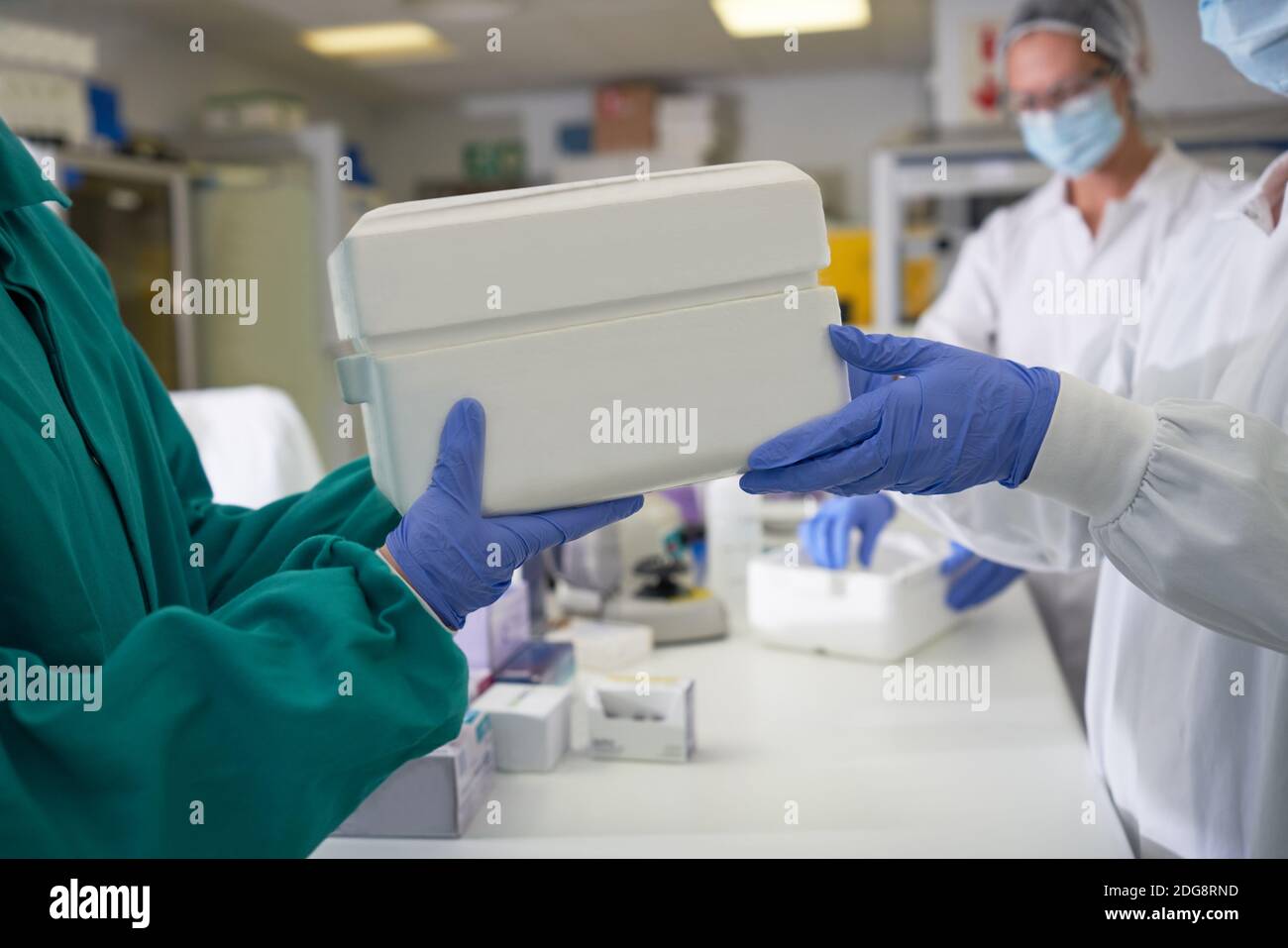 Wissenschaftler in Gummihandschuhen passieren Probe Kühler im Labor Stockfoto