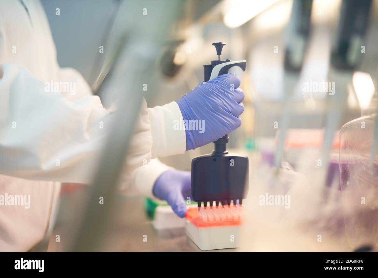 Wissenschaftler in Gummihandschuhe füllen Pipettenschale im Labor Stockfoto