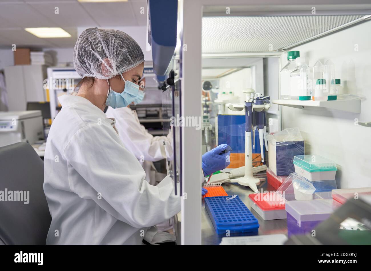 Weibliche Wissenschaftlerin, die Pipettiertabletts an der Abzugshaube im Labor füllt Stockfoto