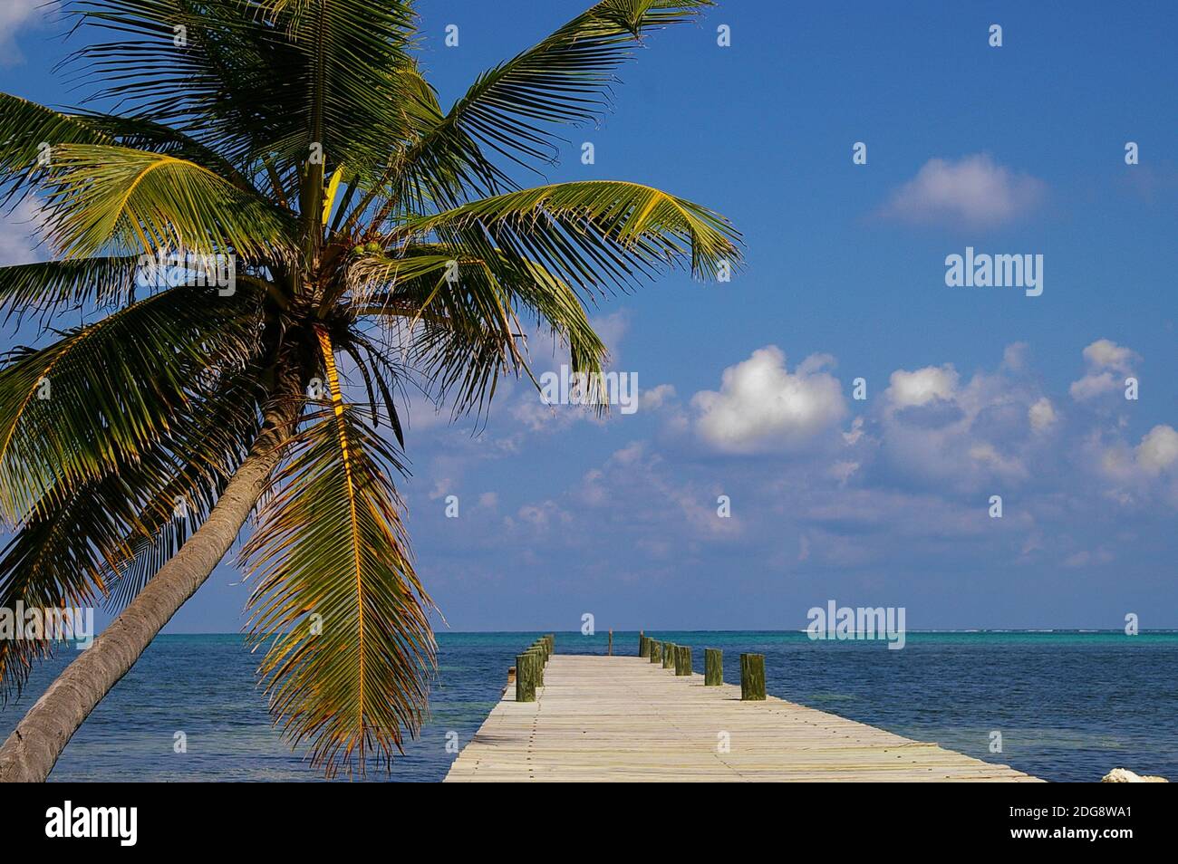 Ambergris Caye Belize Stockfoto