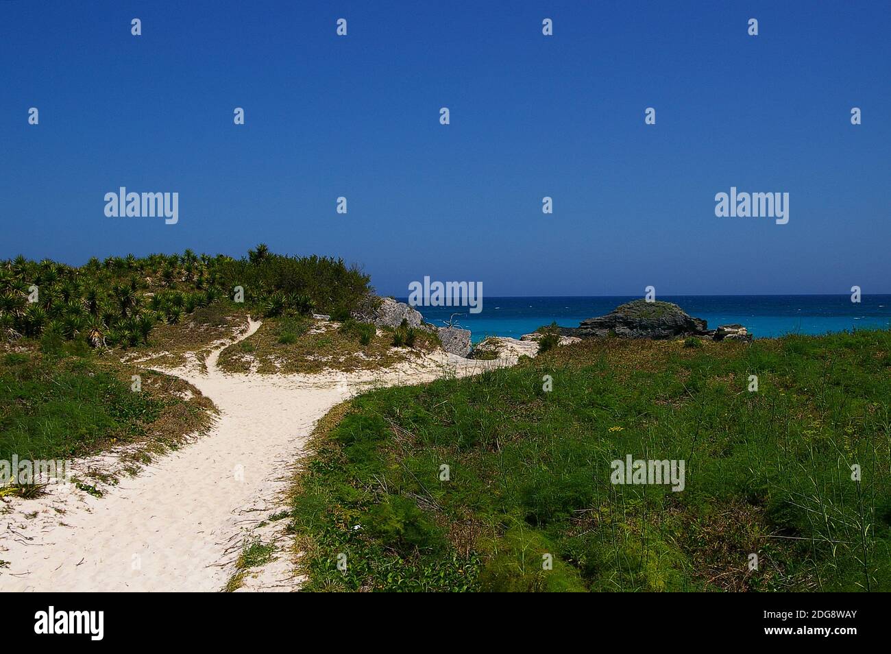 Abgeschiedener Bermuda-Strand Stockfoto