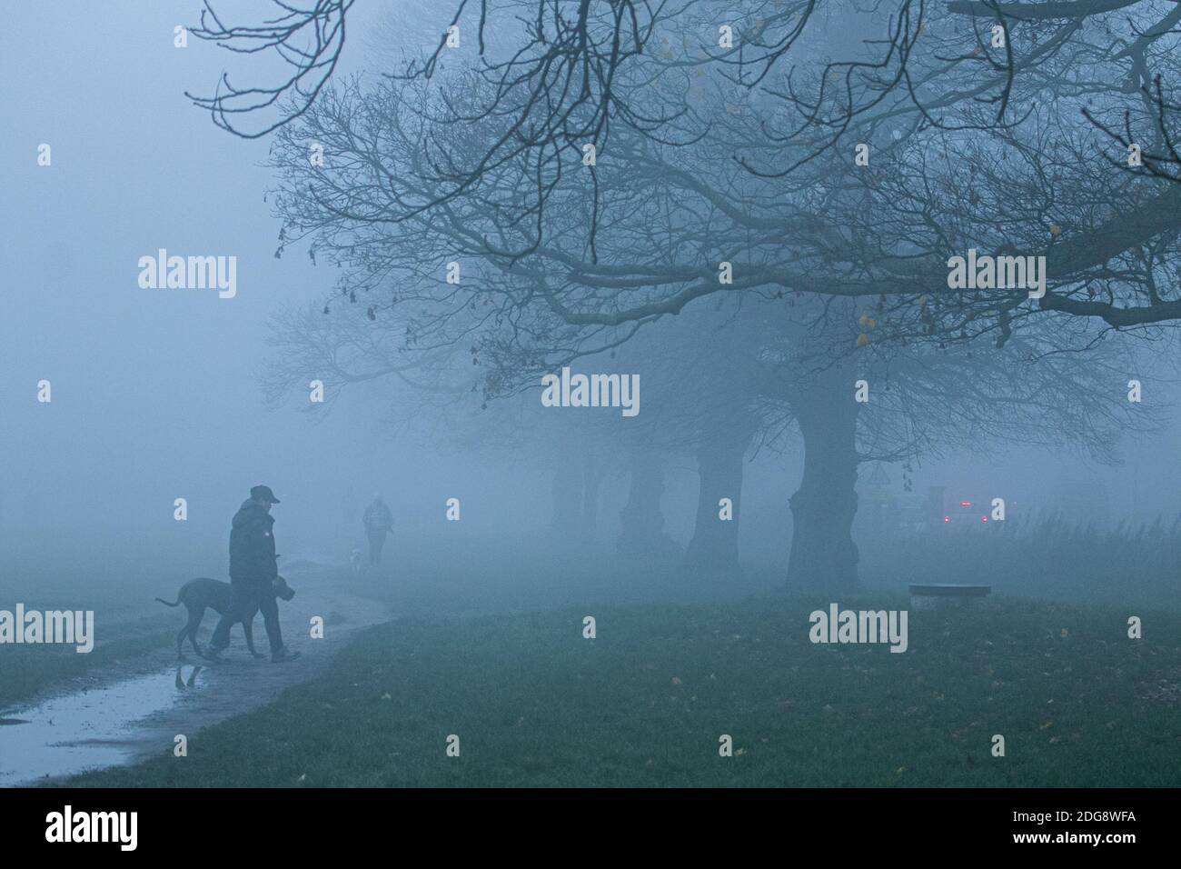 WIMBLEDON LONDON 8. Dezember 2020. Menschen, die ihre Hunde durch dichten frühen Morgennebel auf Wimbledon Common laufen, während London zu eisigen Temperaturen erwacht. Kredit: amer ghazzal/Alamy Live Nachrichten Stockfoto