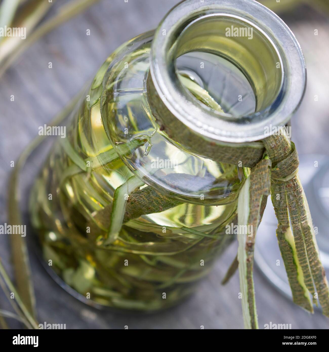 Weidenrinden-Tinktur, Weidenrindentinktur, Weiden-Tinktur, Weidentinktur, Tinktur aus Weidenrinde, alkoholischer Auszug, Tinkturen, Weiden-Rinde, Rind Stockfoto