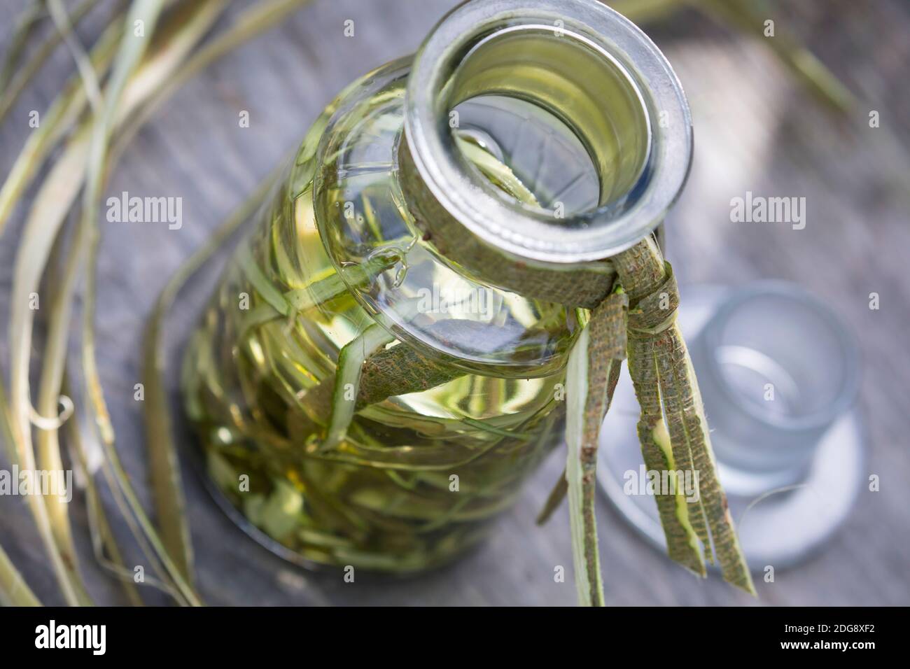 Weidenrinden-Tinktur, Weidenrindentinktur, Weiden-Tinktur, Weidentinktur, Tinktur aus Weidenrinde, alkoholischer Auszug, Tinkturen, Weiden-Rinde, Rind Stockfoto