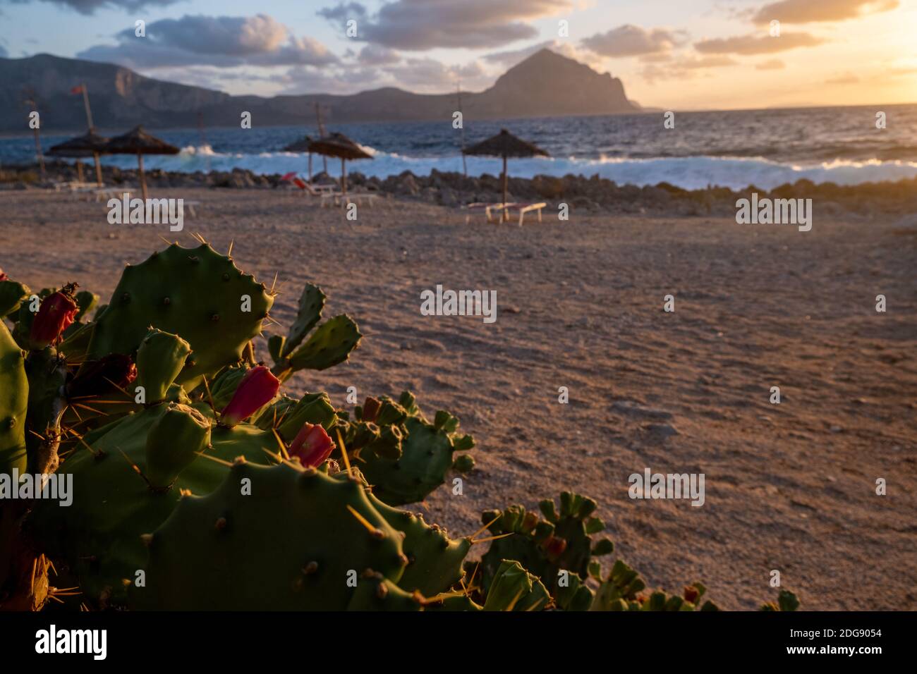 Sonnenuntergang am Strand von San Vito Lo Capo Sizilien mit im Vordergrund Kaktusbirnen Opuntia ficus-indica auch bekannt als indische Feigen, opuntia, barbary Feigen und Kaktusbirnen. Sicilia Italien Stockfoto