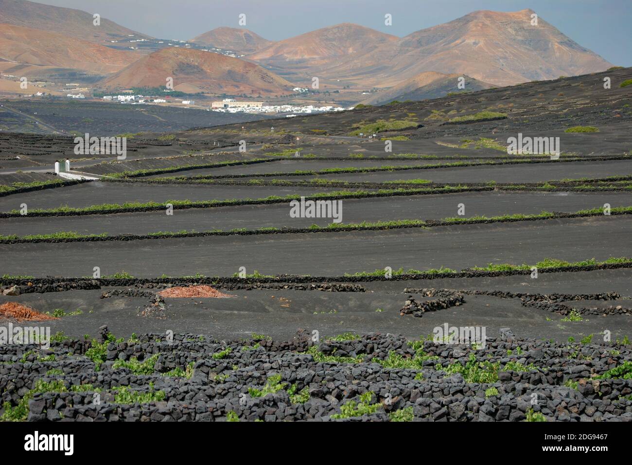 Blick auf schwarzen vulkanischen Boden auf Ackerland in Lanzarote Stockfoto