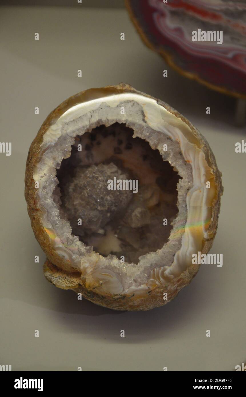 Innenansicht des Senckenberg Museums in Frankfurt Stockfoto