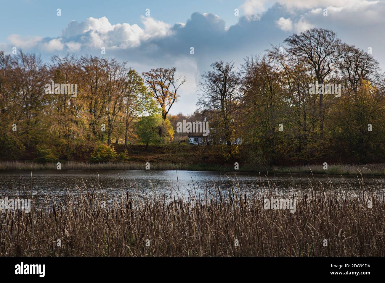 Vegetation an einem See mit einem wolkigen, düsteren Himmel und ein Häuschen am Teich zwischen den Wäldern vermitteln ein Gefühl oder Gefühl von Einsamkeit und Isolation Stockfoto