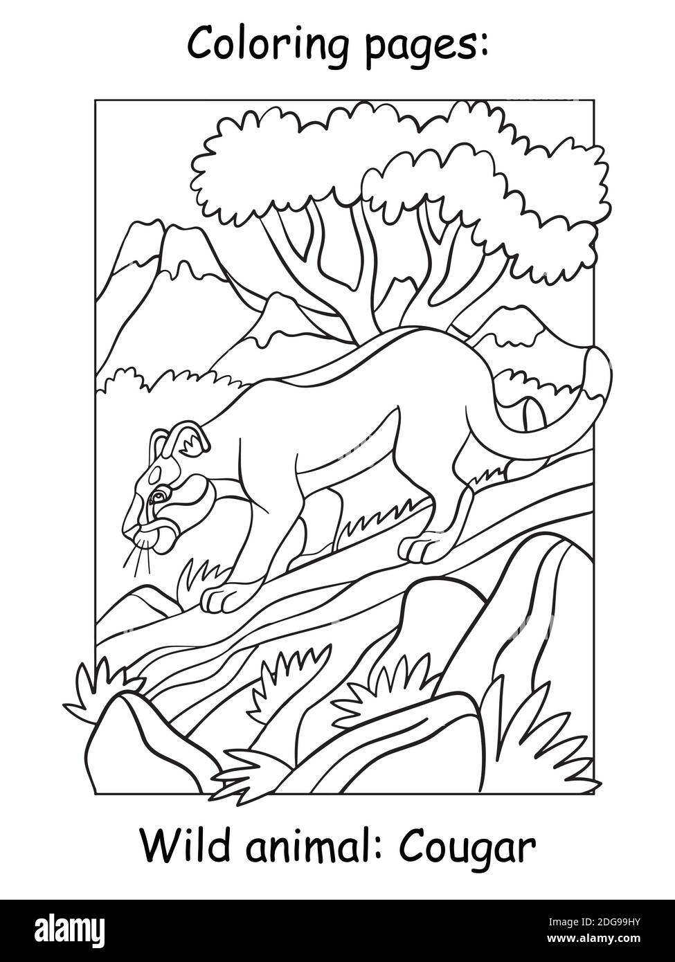 Vektor-Malvorlagen Puma Wandern auf einem Baum in Berggebiet. Cartoon-Illustration isoliert auf weißem Hintergrund. Für das ausmalen, Vorschule eduda Stock Vektor