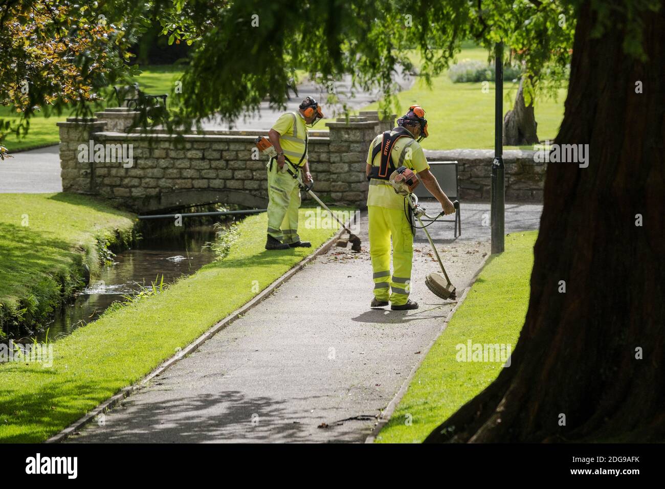 Cormac Arbeiter, die Gras in den Trenance Gardens in Newquay in Cornwall grasen. Stockfoto