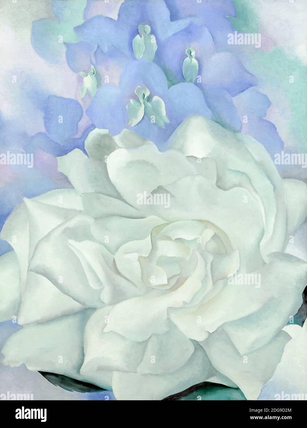 Weiße Rose mit Larkspur Nr. 2, Georgia O'Keeffe, 1927, Stockfoto