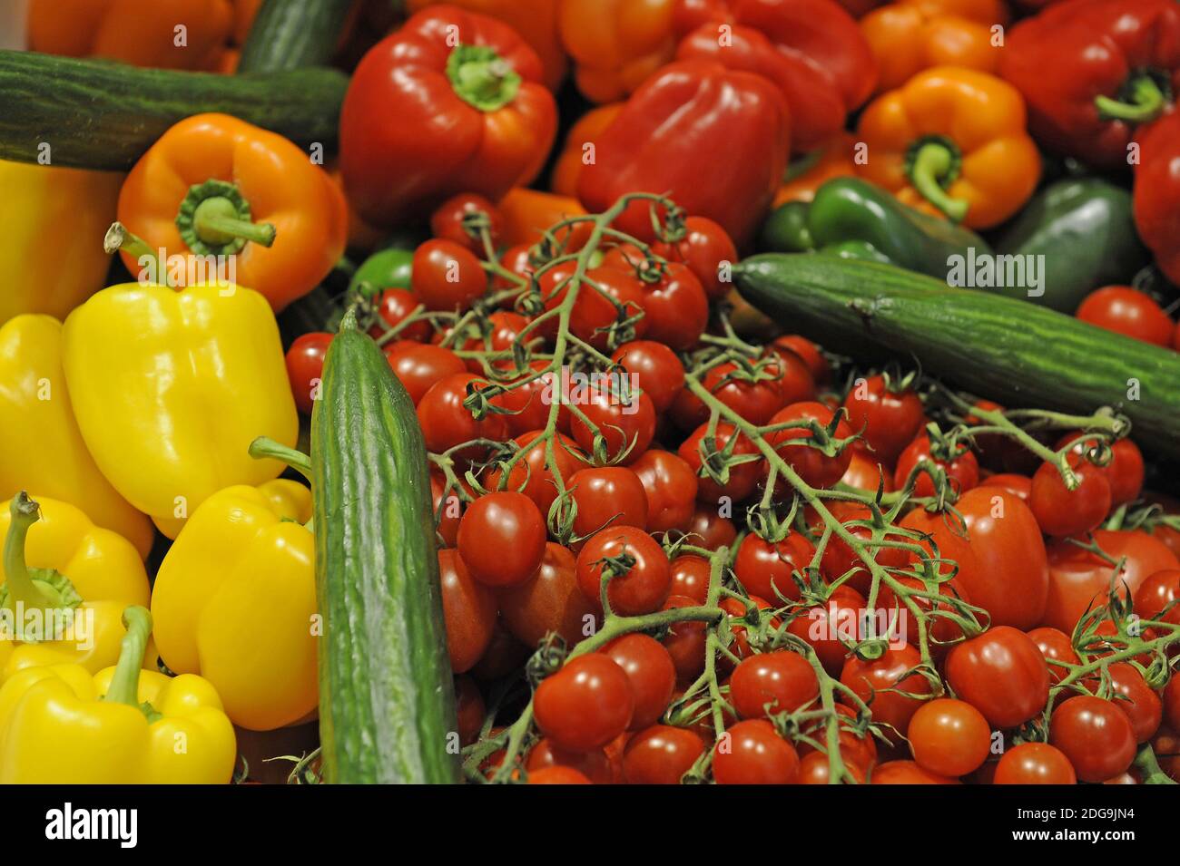 Bunter Gemüsekorb mit roten Paprika, Strauchtomaten, grünen Gurken, gelben Paprika, Stockfoto
