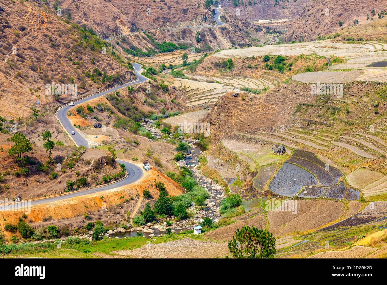 Schöne Aussicht auf Terrasse Reisfeld in Bhutan Stockfoto