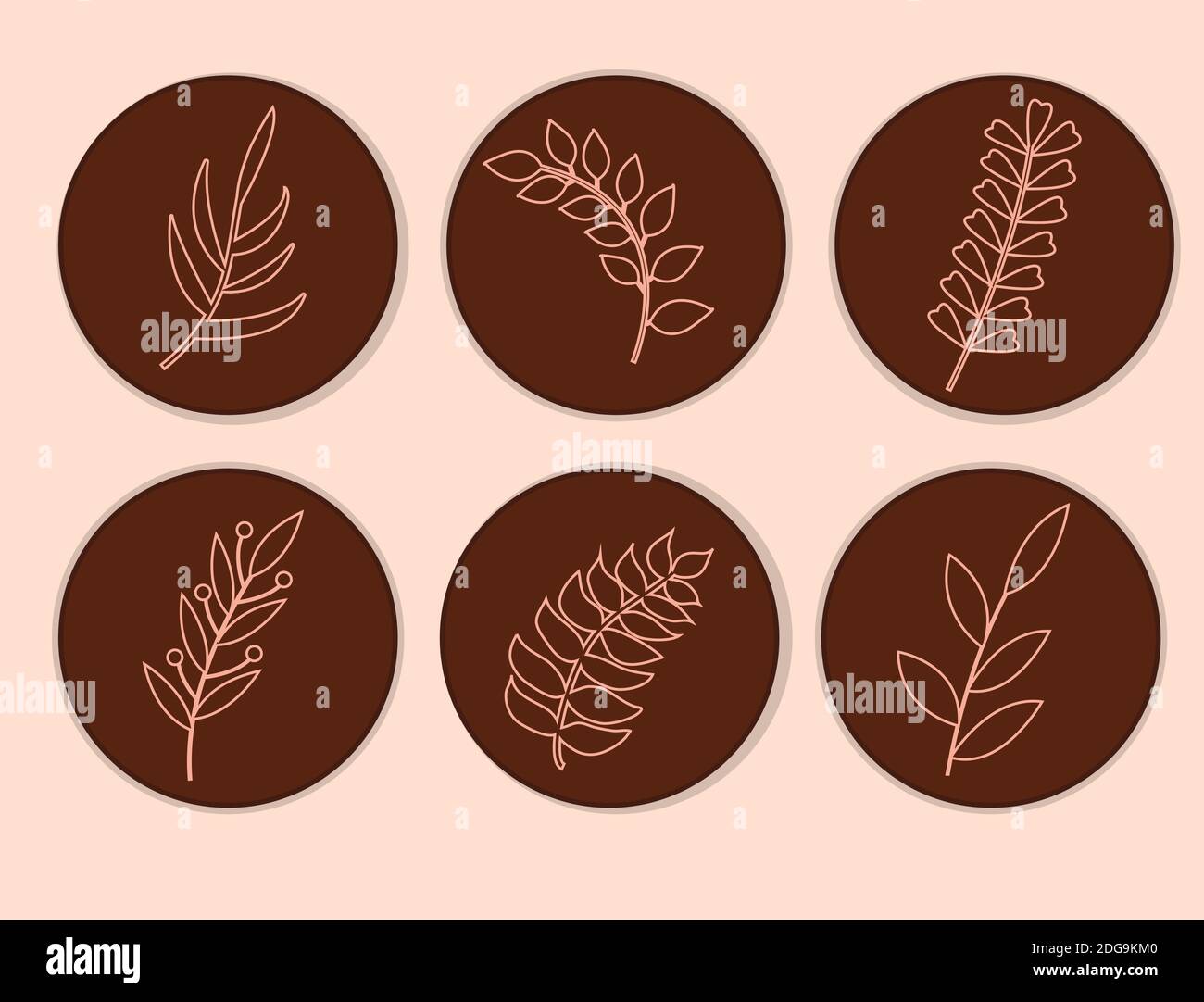 Abstrakte moderne Pflanzen Linie, runde Formen für Knöpfe oder Logo. Skandinavischer minimalistischer Stil. Blattblatt Mit Blumendekor. Vektorgrafik Stock Vektor