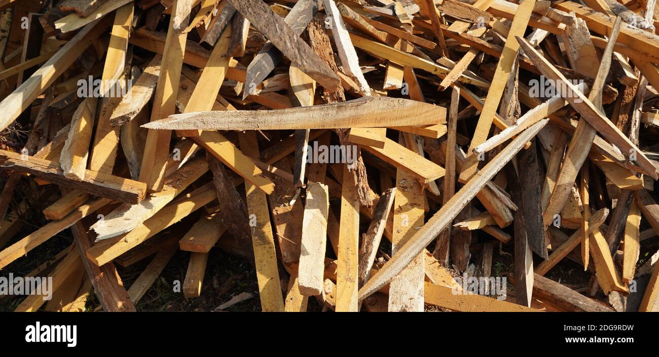 Zerbrochene lange Stücke von Baumstamm. Zerbrochene Holzstücke schließen. Holzspan aus Kiefernholz. Zerbrochen in Stücke und Splitter massiver Baumstamm, Nahaufnahme f. Stockfoto