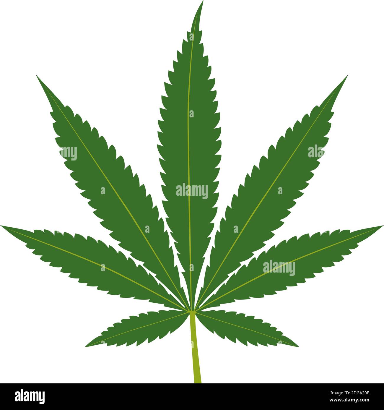 Grünes Cannabisblatt isoliert auf weißem Hintergrund Stock Vektor