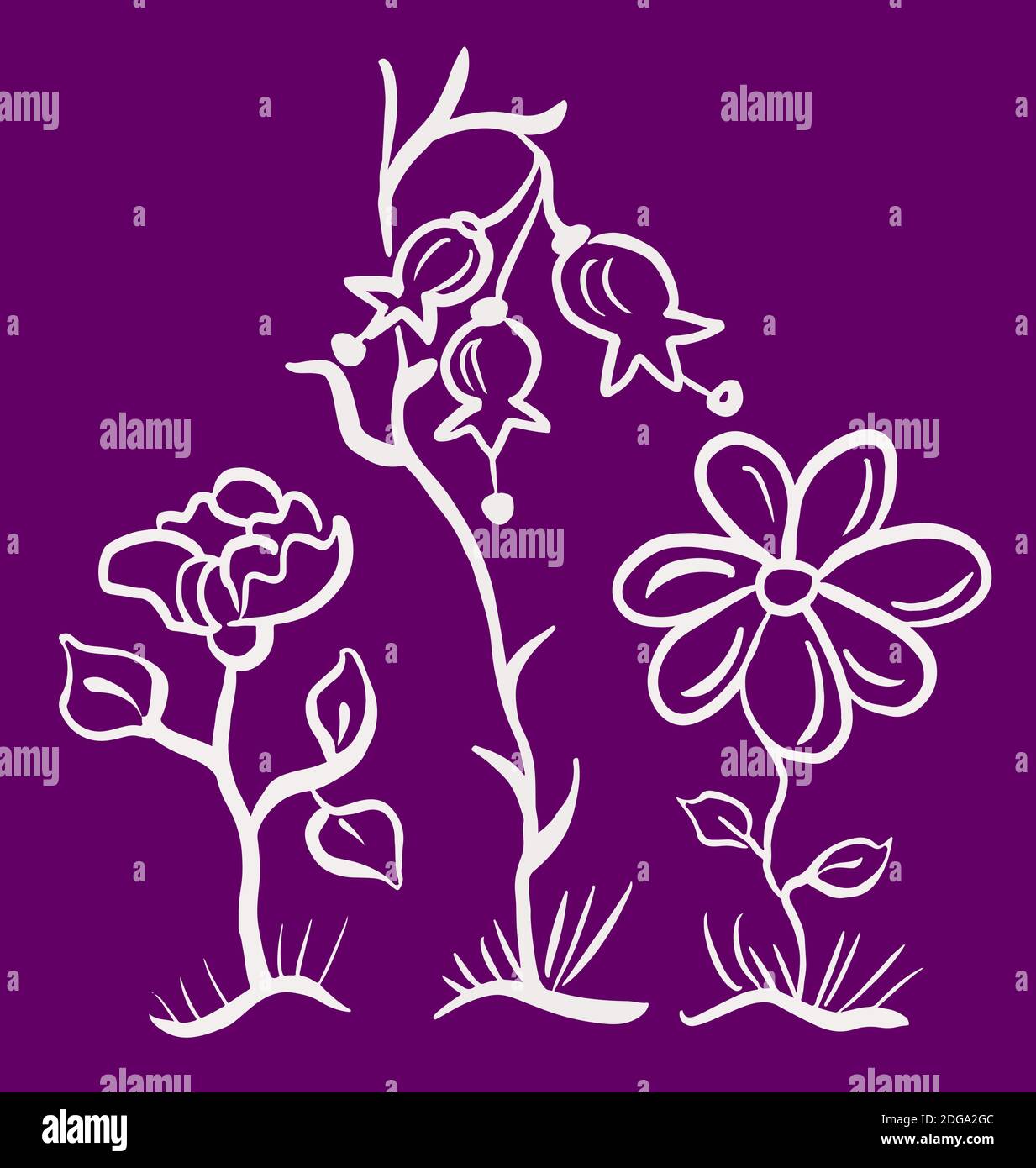 Drei handgezeichnete Kontur Blumen, Glocke, Rose, Gänseblümchen, isolierte Konturen eps10 vecror Illustration. Stock Vektor