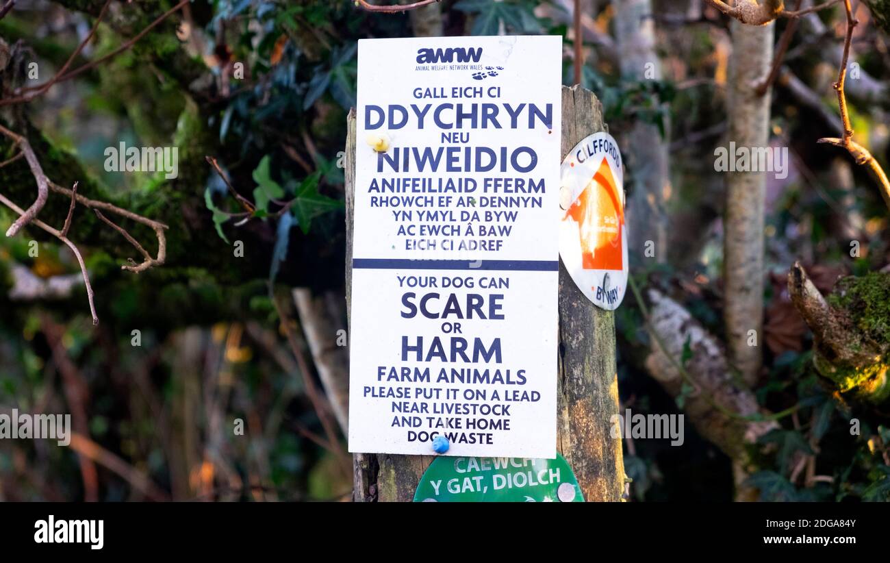 Animal Welfare Network Wales WAWNW zweisprachig Walisisch Englisch Warnschild Halten Sie Hunde auf Farmland Farm Land Carmarthenshire an der Leine Wales KATHY DEWITT Stockfoto