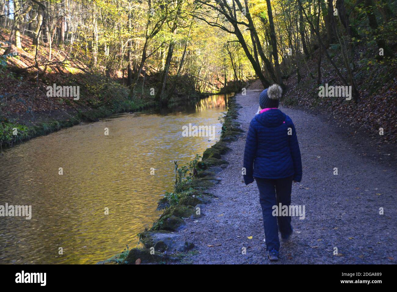 Frau mit Bobble hat Wandern auf dem Fußweg von Ellar Beck in Skipton Woods, Skipton, North Yorkshire, England, Großbritannien. Stockfoto