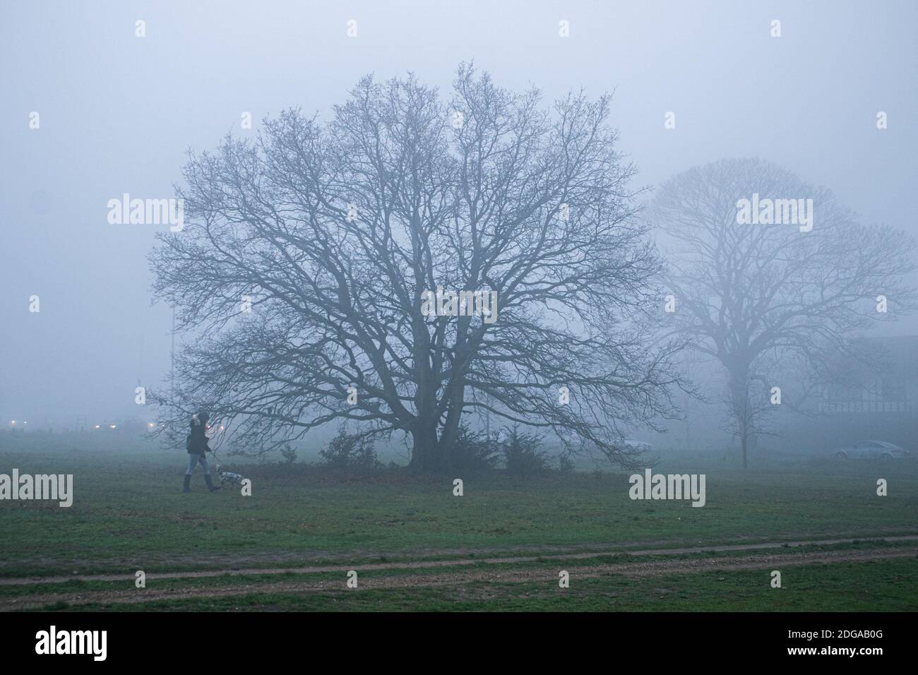 WIMBLEDON LONDON 8. Dezember 2020. Ein Mann, der seinen Hund durch dichten Nebel auf Wimbledon Common läuft, während London bei eisigen Temperaturen aufwacht Credit: amer ghazzal/Alamy Live News Stockfoto