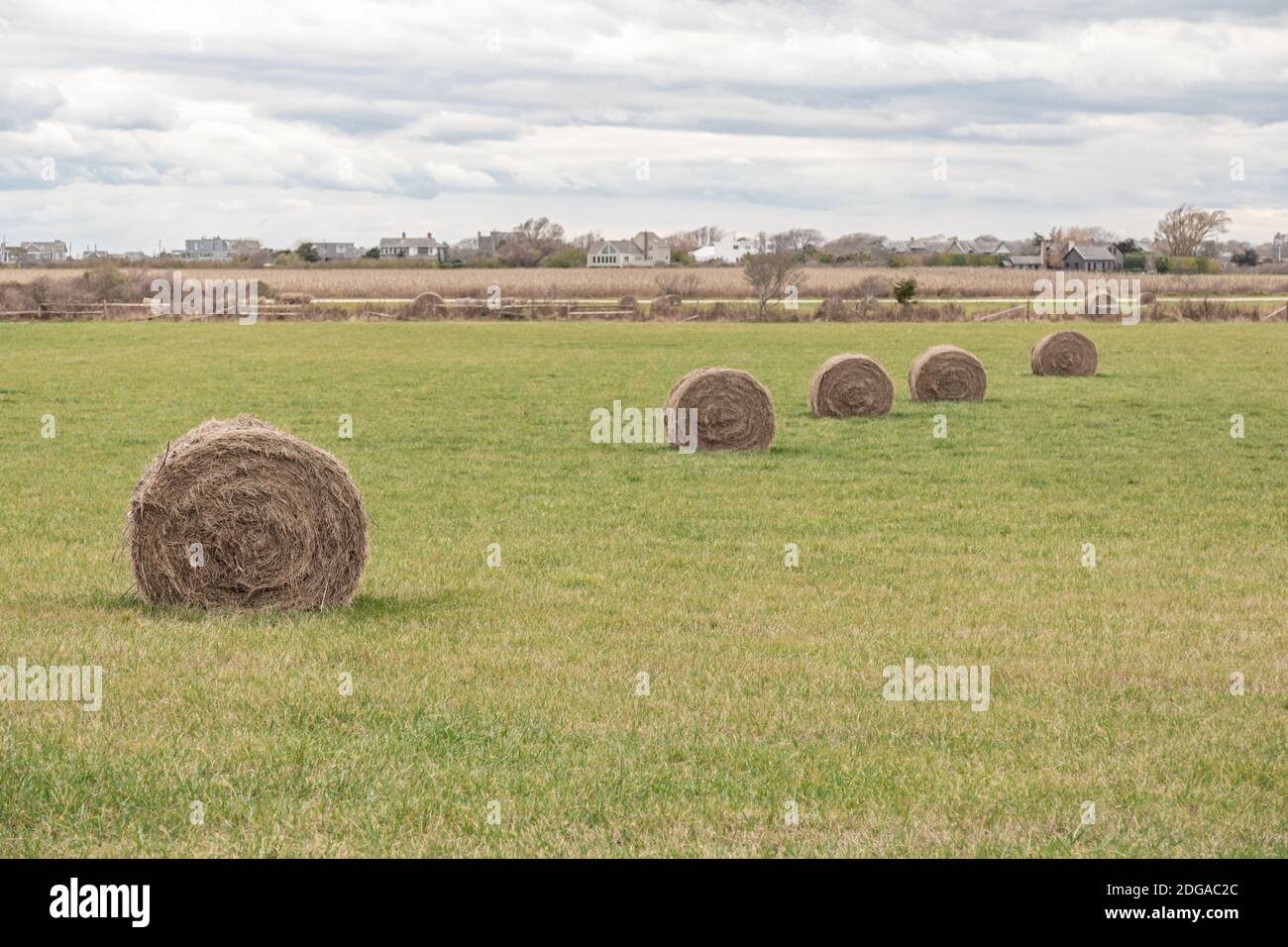 Runde Heuballen auf einem Feld in Sagaponack, NY Stockfoto