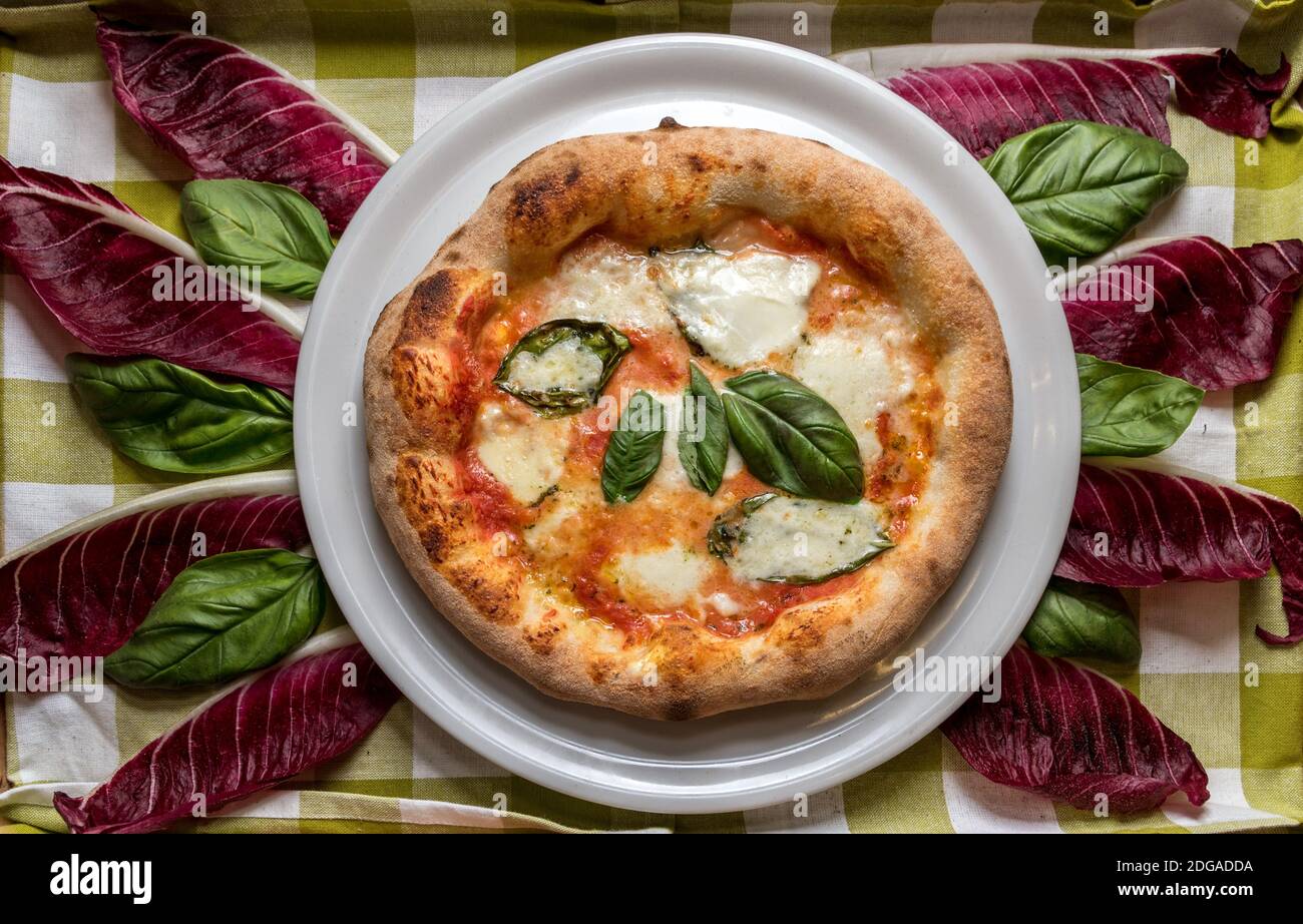 margherita Pizza mit Tomaten, Mozzarella und Basilikum. Draufsicht auf Hintergrund von Basilikumblättern und Radicchio rot Stockfoto