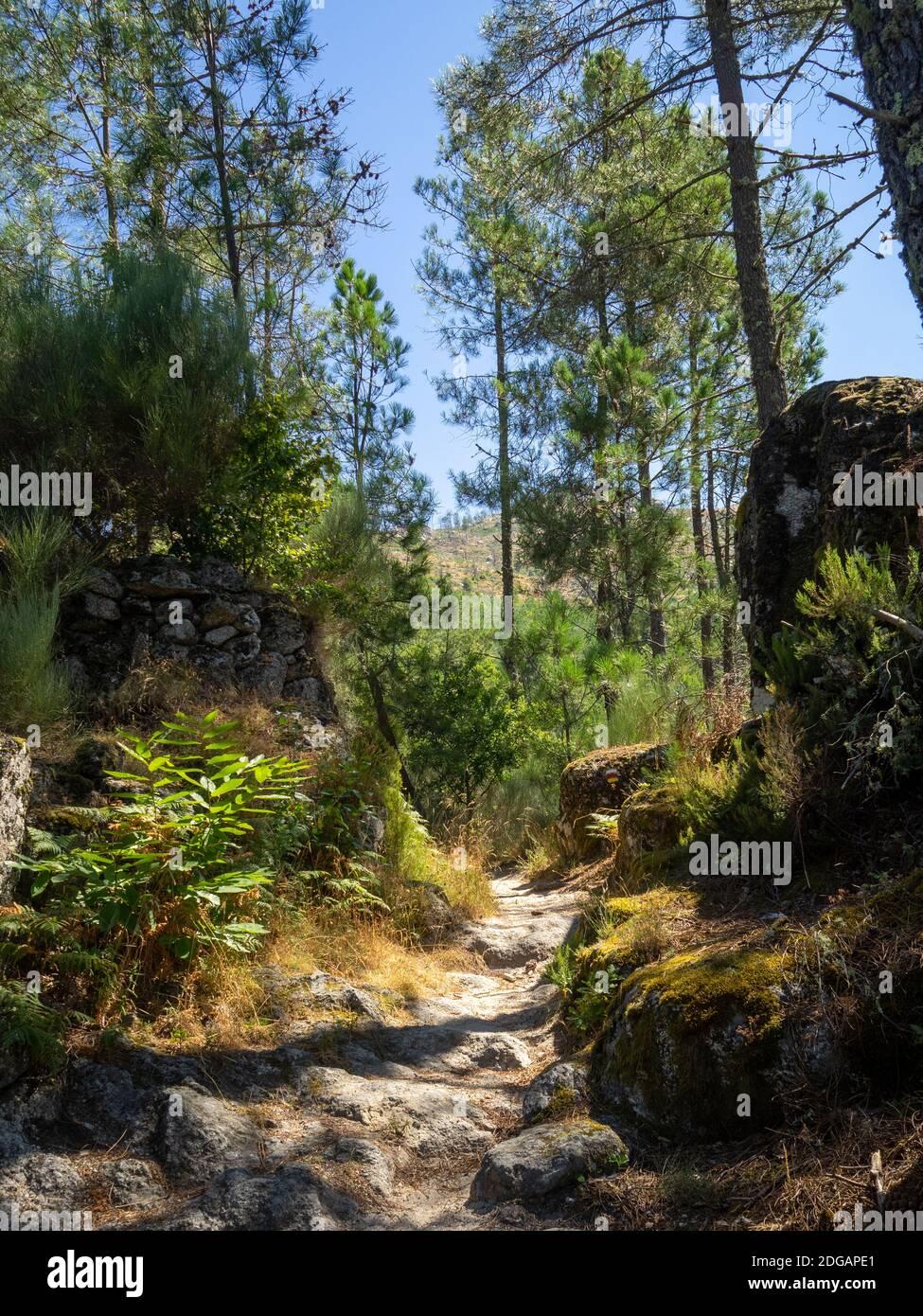 Steinweg auf der PR10 sei Wanderroute in Serra da Estrela, Portugal Stockfoto