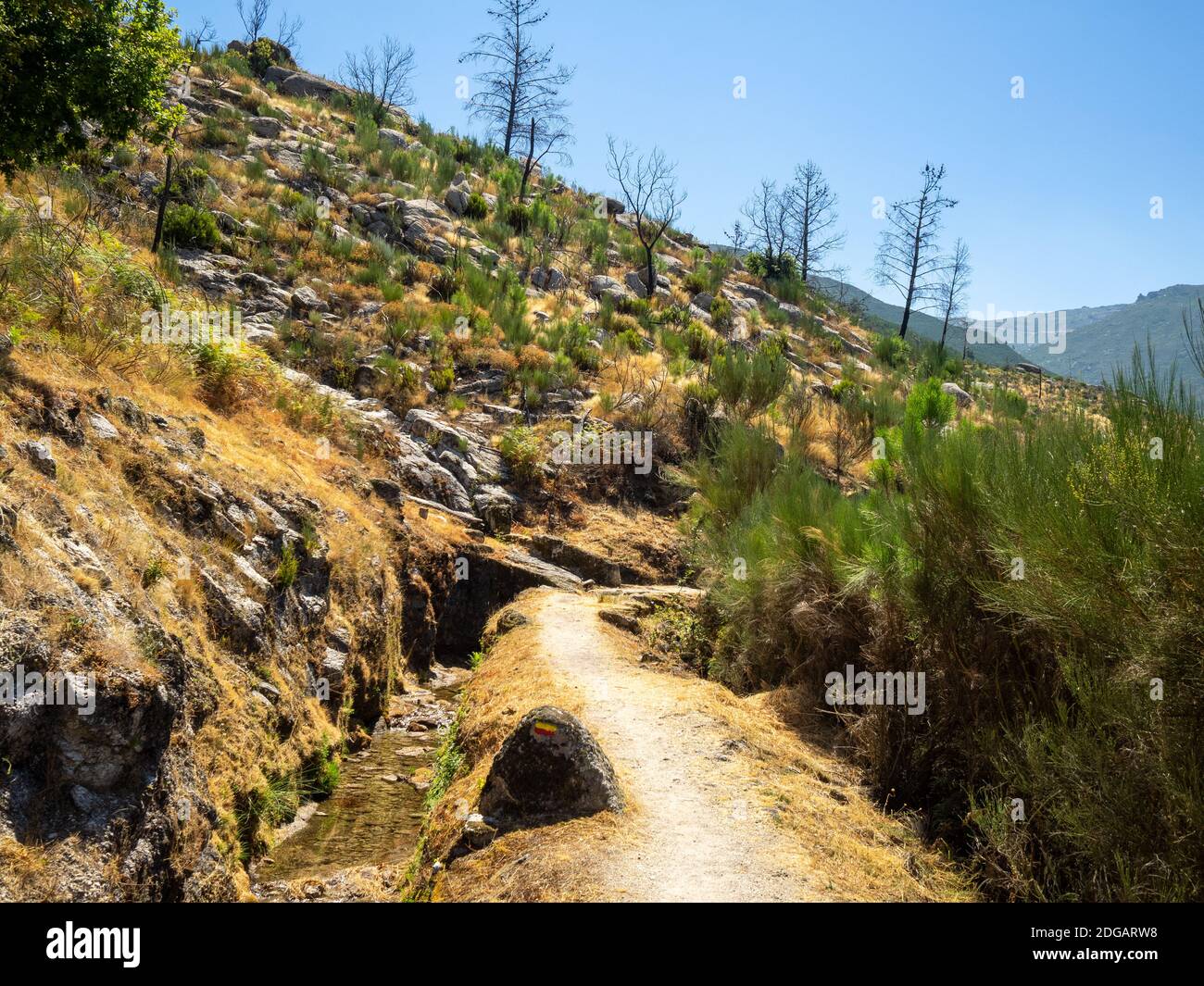 PR10 sei Wanderweg neben einem Wasserkanal, der den Pinienwald unten und den felsigen Berg oben in Serra da Estrela, Portugal, trennt Stockfoto