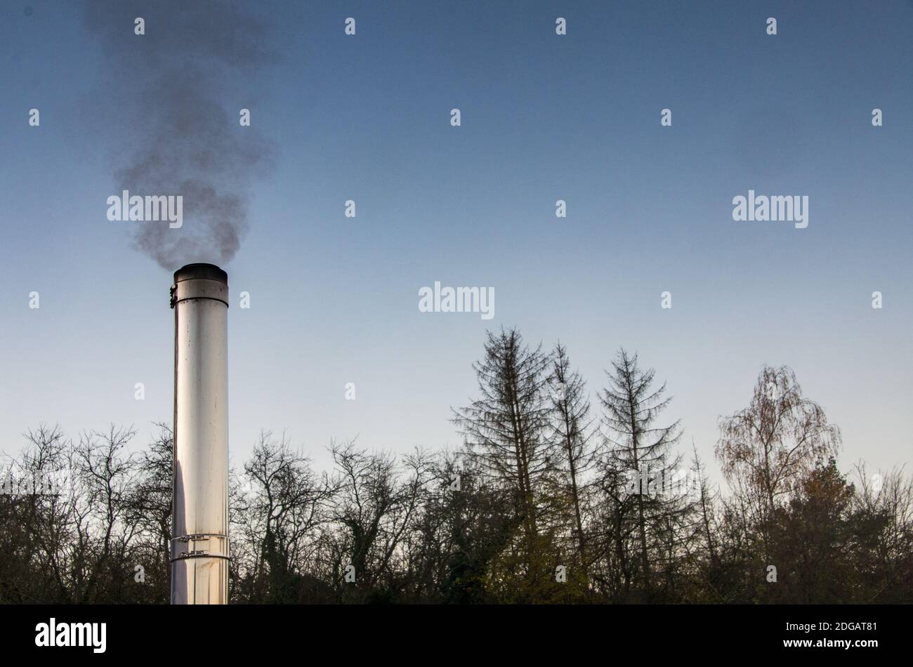 Rauchschornstein aus Edelstahl vor dem Morgenhimmel, Bäume im Hintergrund Stockfoto