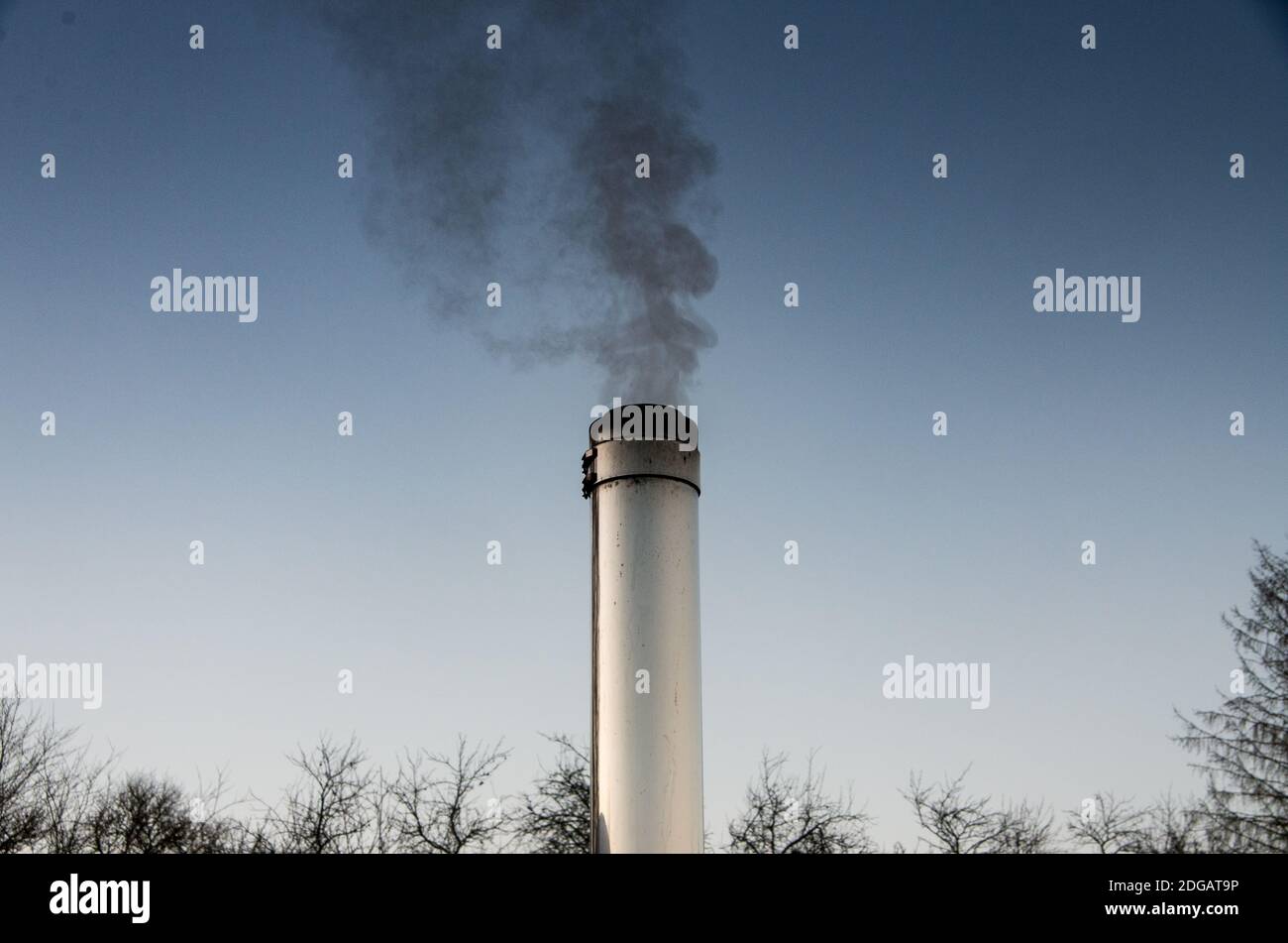Rauchschornstein aus Edelstahl vor dem Morgenhimmel, Bäume im Hintergrund. Stockfoto