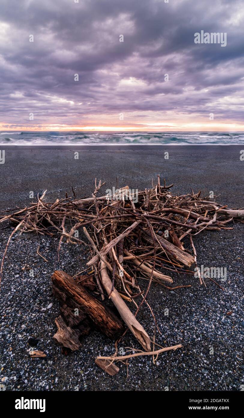 Driftwood at a Beach, Trinidad, Kalifornien Stockfoto