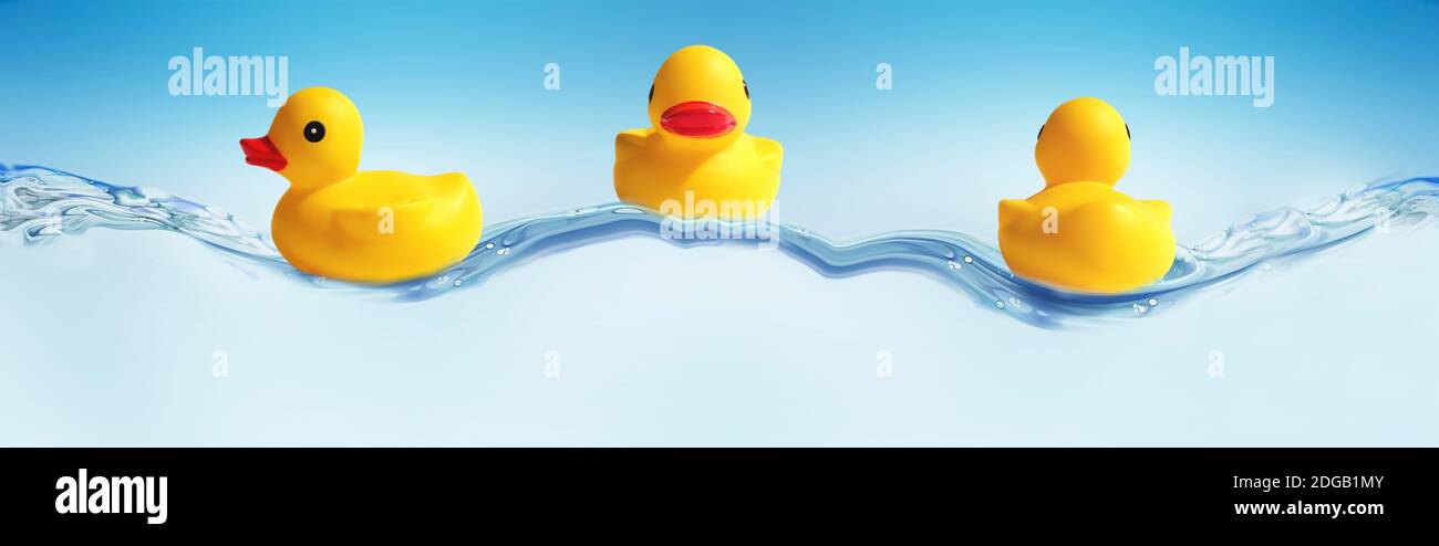 Drei Enten auf dem Wasser Stockfoto